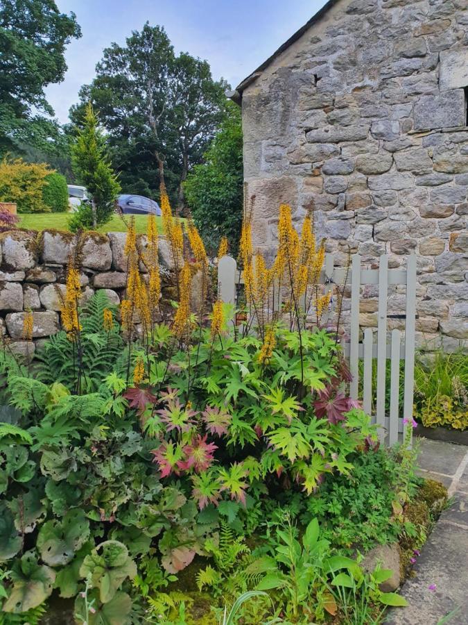 Howgill Farm Bolton Abbey Appletreewick Exterior foto